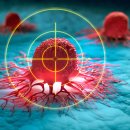 41590-01-01-20 이미지