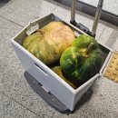 주)세아베스틸 | 2025년 12월 아빠의 관점으로 작성하는 육아일기, 중년을 맞이하는 리얼 영포티, 주식 복기