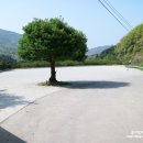 와룡산청룡사앞 이미지