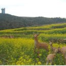 고흥우주발사전망대 이미지