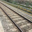 미래고속관광(주) | 🚂기차타고 떠나는 특별한 여행! 느리지만 확실한 행복 찾기🌟