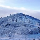 서울그린정형외과의원 이미지