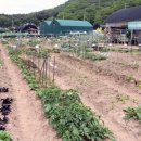 여울농장2 이미지