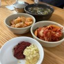 미쉐린타이어 대전판매(주)유성지점 이미지