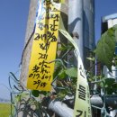 평동초교 이미지