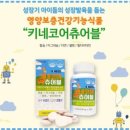 키네코어 이미지