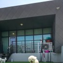 러닝독 스테이 이미지