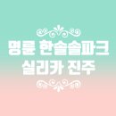 원주 명륜 한솔솔파크 아파트 실리카페인트 시공후기