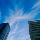 파주청과 | 과일 싸고 맛있는 곳, 딸기 2000-2500원,비건카페 달냥 티라미수, 아아, 마트, 파주 차량 번호판 등록