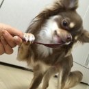예원플러스 이미지