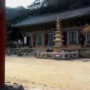 선운민박 이미지