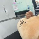 오월의 일기