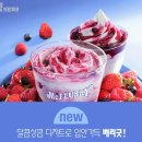 베리 한국경제