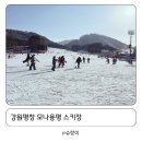 모나용평 리프크권 할인, 겨울바라기 렌탈샵 후기