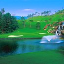 메디칼밸리 이미지