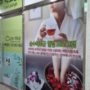 순수약초궁