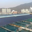 LS태양광발전소 이미지