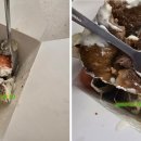 셔호나 케밥 이미지