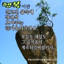토성대박공인중개사사무소 이미지