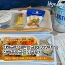 김해-상해 푸동공항 대한항공 탑승 KE2229 (김해공항, 기내식, 입국심사후기)