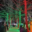 로뎀동산 펜션 이미지