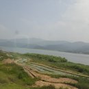 빛그린행정사