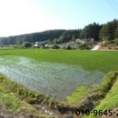 산후1리다목적회관 이미지