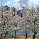 언하공단로1 이미지