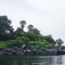 효돈천 | 🌿제주 여행 🌊&#39;쇠소깍&#39; 효돈천에서 자연과 데이트💙💚테우 vs 카약 ? 우리 가족의 선택은!