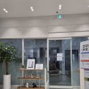 송파한성병원 | 고양이 중성화수술·예방접종 후기, 송파 올리브동물병원 내돈내산 솔직 방문기