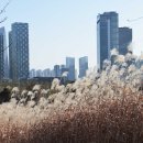 송도 달빛축제공원 이미지