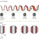 헤나킹 - 아산시 | 헤나킹
