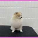 이쁘개몽 | 이쁘개몽, 울산 남구 번영로250번길 24 1층 103호