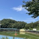 그린좌대1 낚시터 이미지