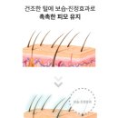 블랭크 - 여수시 망양로 351 | 저자극 강아지 올인원 샴푸 닥터블랭크 실사용 상세 후기
