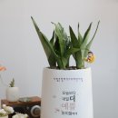 시립운정하우스디어린이집 이미지