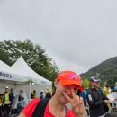 [어쩌다 만난 선배시민~]너의 말이 나를 움직였어 | 폭우를 맞으며 인제 와일드 트레일런에서 러너스하이를 만끽하고 오다~!(대회후기) / 인제 자작나무 숲