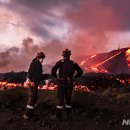 농민농장 이미지