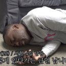 마수리마라탕 네이버블로그