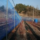 찬기농장 이미지