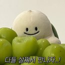 행복하게 달리는 집사 | [250929,1001,04,09] 주짓수 383,4,5,6회(추석, 진짜 많이 먹음)