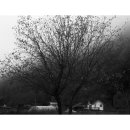 살둔산장 이미지