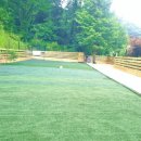 나무애견유치원 이미지