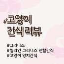 양치 | [고양이 간식] 그리니즈 덴탈간식, 고양이양치간식 후기