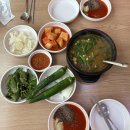 설악흑염소 이미지