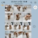 코코스퀘어 이미지