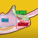 오돈가 이미지