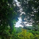 하늘타리 | 캠핑! 여주 하늘타리캠핑장 후기