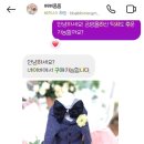 빠삐몽몽