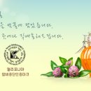 럭스하니
